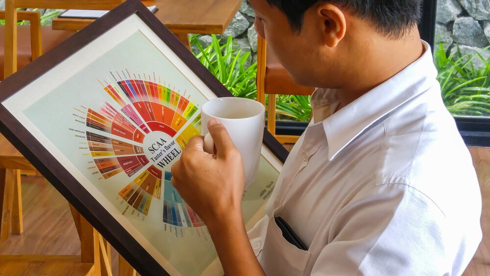 Menikmati Rasa Kopi dengan Takaran Flavor Wheel: Ini Penting, Lho!