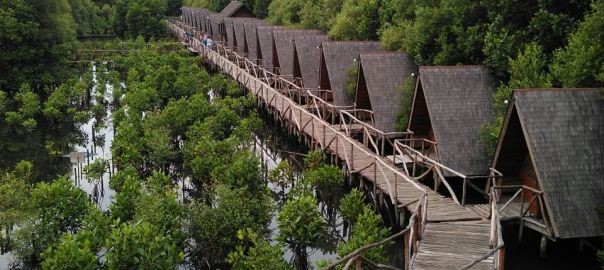 Selain Kafe dan Restoran, ini 5 Tempat yang Ada di Pantai Indah Kapuk